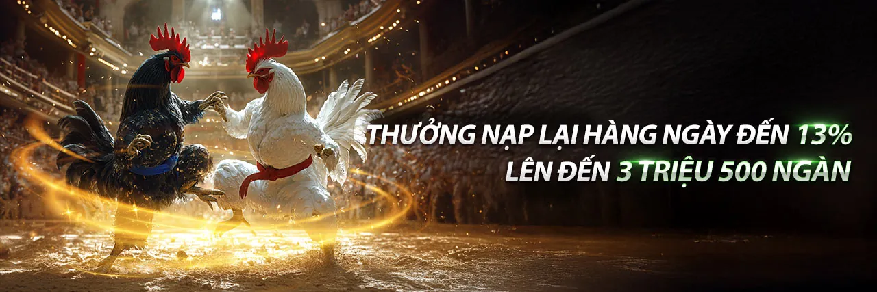 Hình ảnh tổng quan về 888now casino